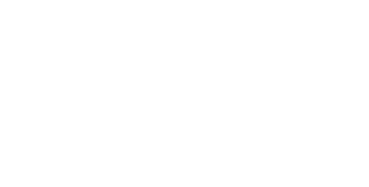 MediaSpis